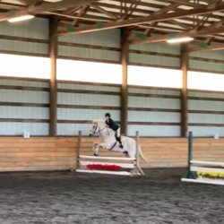 Rolling Rock Farm - The 2'3 hunter class!