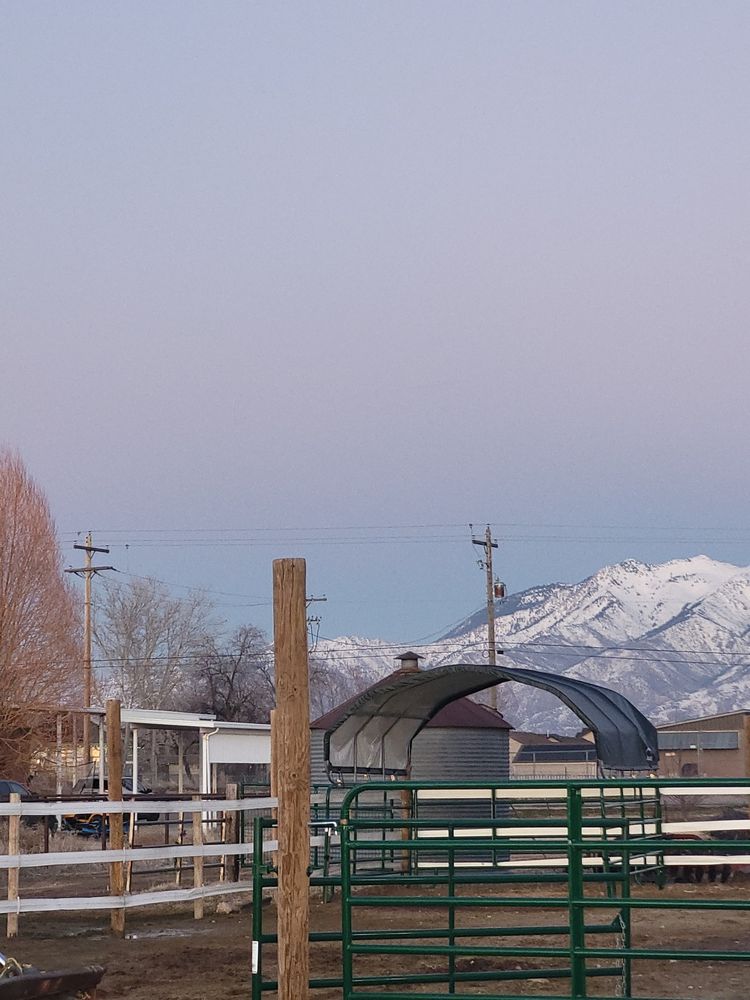 Dragonfly Hollow Equestrian Farm - equestrian in Hooper, UT