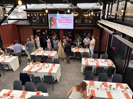 Jasper's Backyard by null