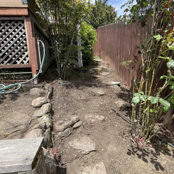 Family Tree Expert - After - Gardeners Near Me - Menlo Park, California