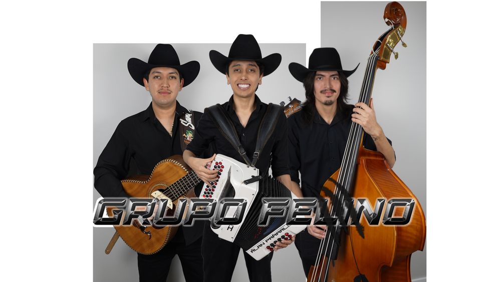 Grupo Felino