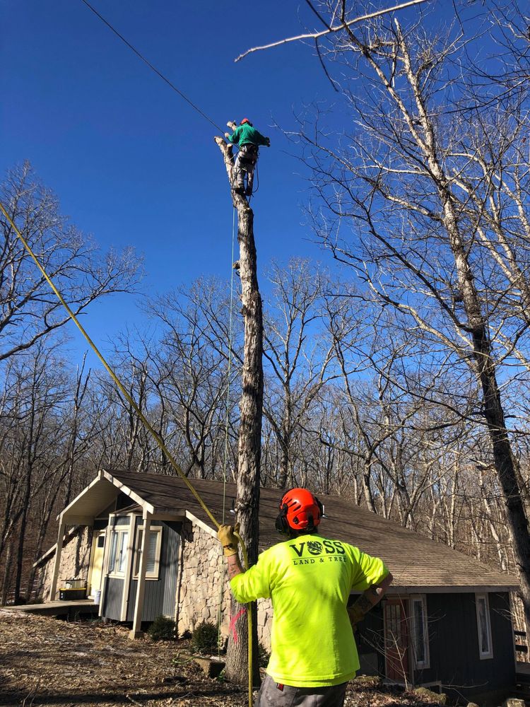 VOSS LANDSCAPE & TREE SERVICE Updated September 2024 18 Photos