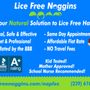 Photo of Lice Free Noggins