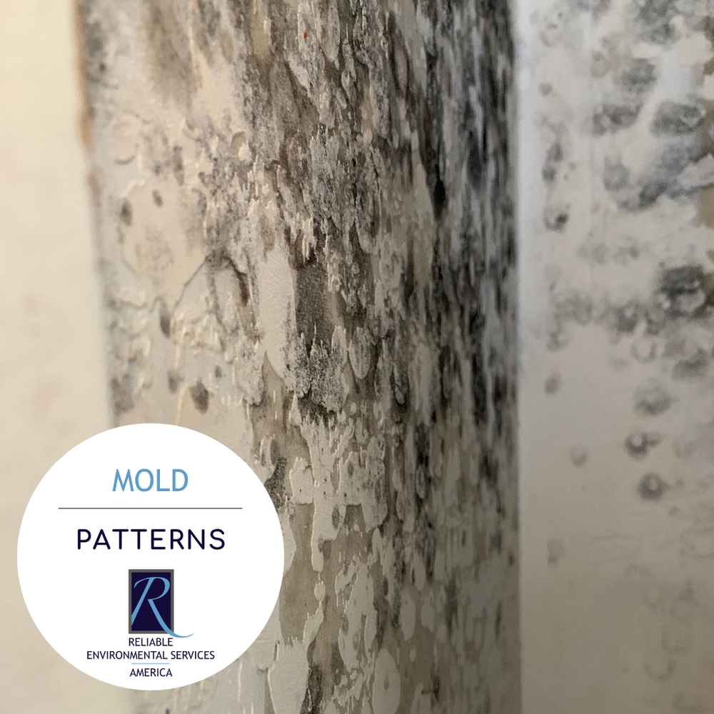 RESA - mold inspector in Mesa, AZ