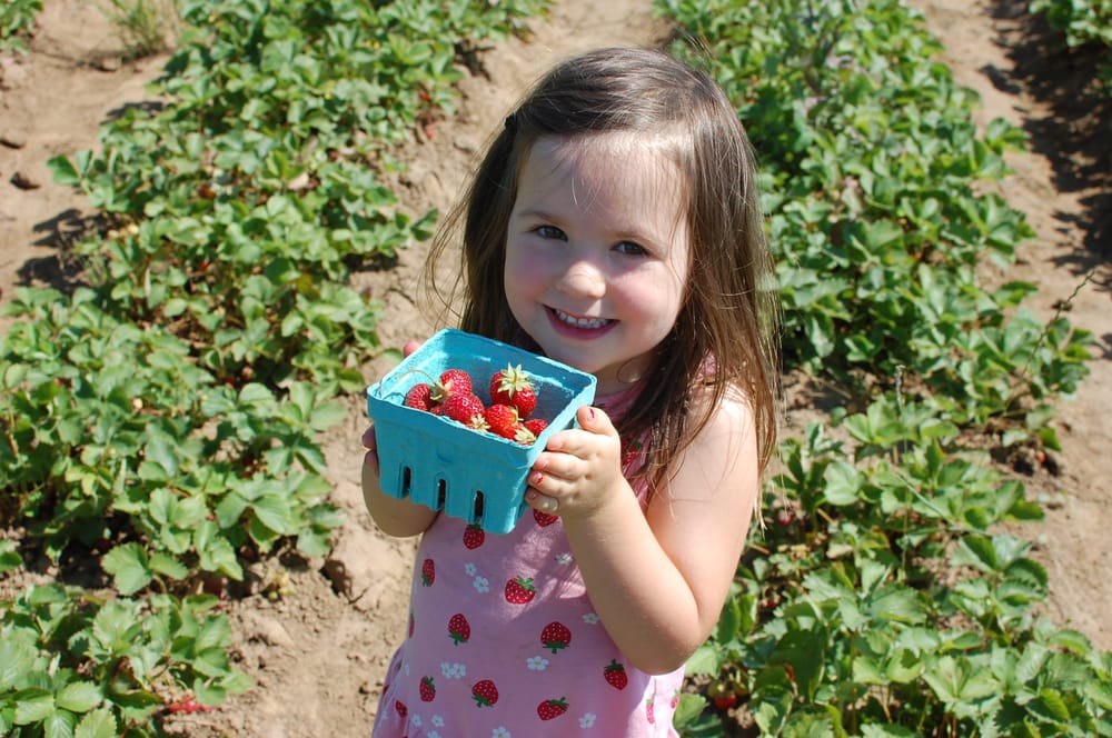Hawthorne Family Playschool - childcare center in Portland, OR