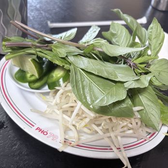 Pho 79 Restaurant - pho veggies - Vietnamese Near Me - Garden Grove, California Pho 79 Restaurant - pho veggies - Vietnamese Near Me - Garden Grove, California