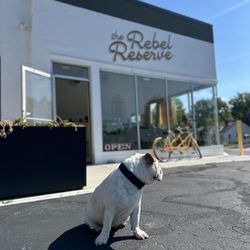 Say Hello to Clementine! Manager-On-Duty 7 days a week!