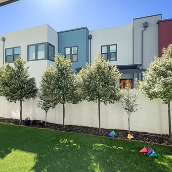 Paez Tree Service - Before - Tree Services Near Me - Anaheim, California
