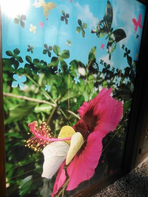 Naturospace Honfleur by null