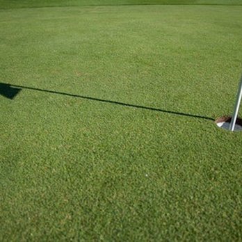 Leader Golf - Golf Near Me - Sacramento, California