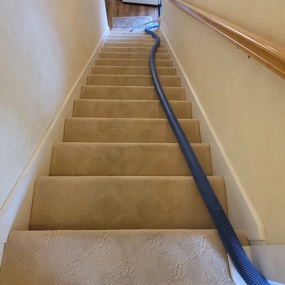 Carpenter's Steam Cleaning - BEFORE - Stairs - Carpet Cleaning Near Me