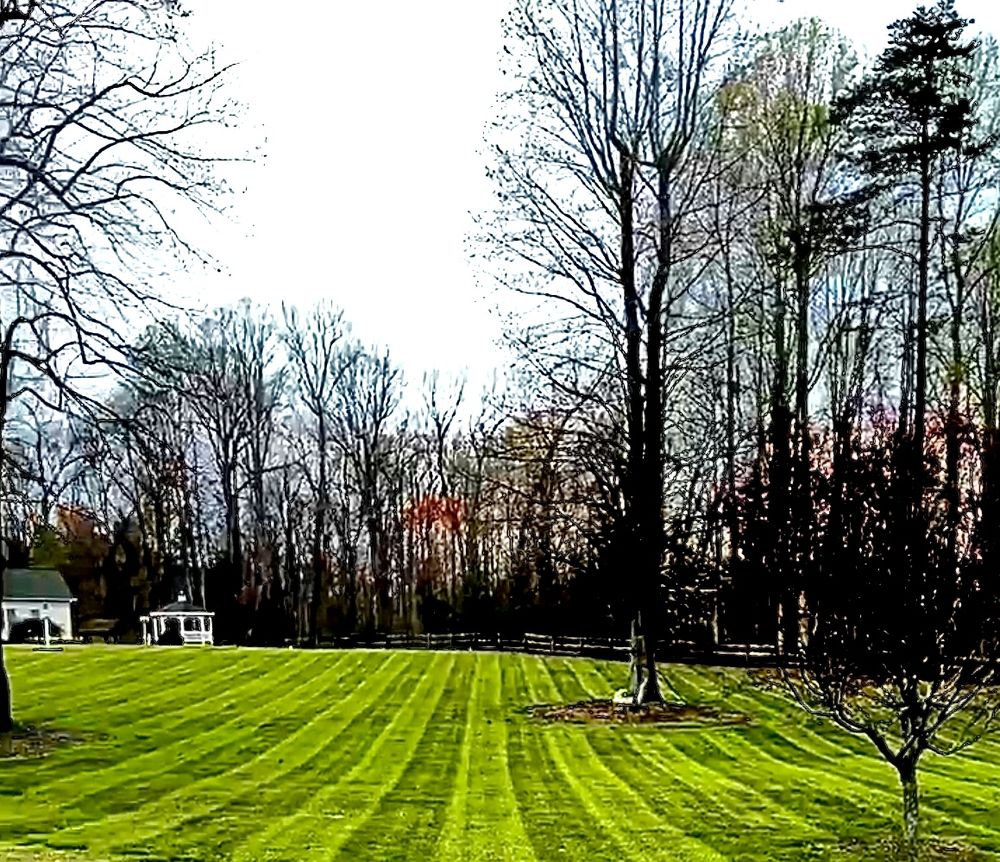 Dillon's Landscaping Service - tree service in Sophia, NC