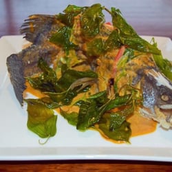 Aranya Thai Restaurant