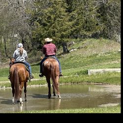 Circle G Ranch NY - Sweetheart ride... unplugged at the ranch.
