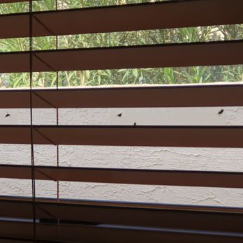 Casago - Flies on Window in Ktichen - Property Management Near Me - Scottsdale, Arizona Casago - Flies on Window in Ktichen - Property Management Near Me - Scottsdale, Arizona