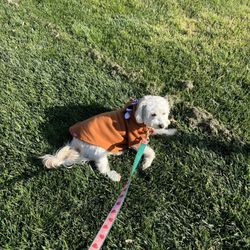 Pleasanton Sports & Recreation Park