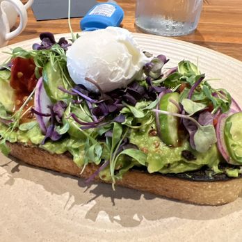 Finch & Fork - Smashed Avocado Toast - New American Near Me - Santa Barbara, California Finch & Fork - Smashed Avocado Toast - New American Near Me - Santa Barbara, California