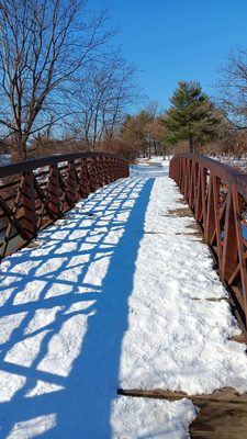 Lake Artemesia Natural Area by null