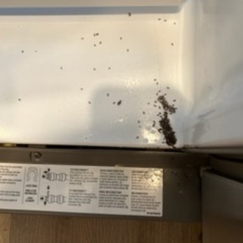 Cingo - Pest Control Near Me - Augusta, Georgia