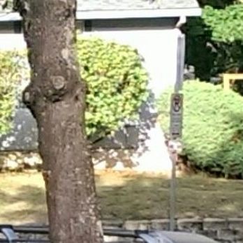 All My Sons Moving & Storage - Loaded broken limb being hauled off... finally!!! - Movers Near Me - Clackamas, Oregon All My Sons Moving & Storage - Loaded broken limb being hauled off... finally!!! - Movers Near Me - Clackamas, Oregon