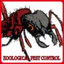 Photo of Zoological Pest Control