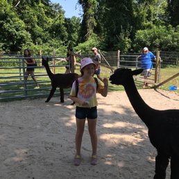 Grand enjoying visit to the Jersey Shore Alpaca Farm, enjoyable experience as we were taught by owner. I highly recommend a visit. Grand enjoying visit to the Jersey Shore Alpaca Farm, enjoyable experience as we were taught by owner. I highly recommend a visit.