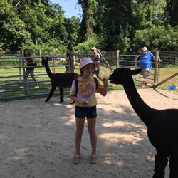 Jersey Shore Alpacas - Grand enjoying visit to the Jersey Shore Alpaca Farm, enjoyable experience as we were taught by owner. I highly recommend a visit.