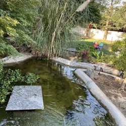 Those Two Fish Guyz - Clean pond
