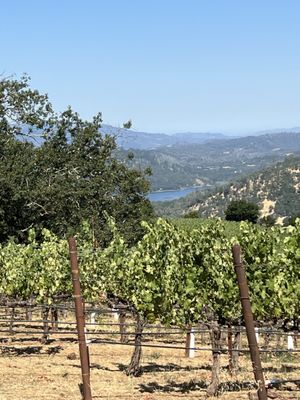 Chappellet Winery by null