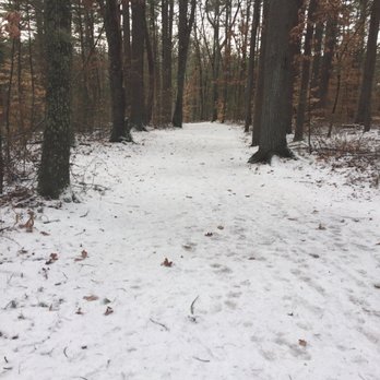 Great Brook Farm State Park - Big wide trails great for cross country skiing - Dog Parks Near Me - Carlisle, Massachusetts