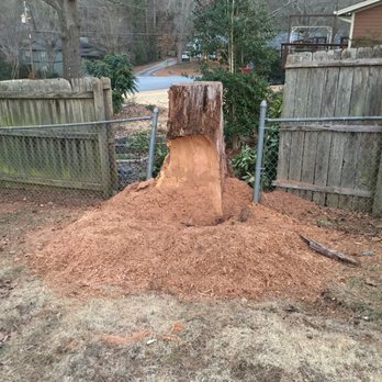 Stump Grinder Company - Tree Services Near Me - Alpharetta, Georgia Stump Grinder Company - Tree Services Near Me - Alpharetta, Georgia