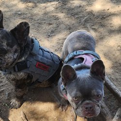 Peters Canyon Regional Park - siblings
