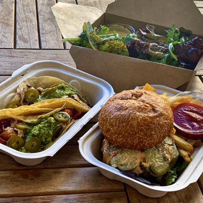 Hog Island Larkspur by null