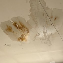 AMP Mechanical - Garage ceiling.