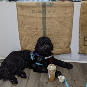 Lucky Dog Coffee - Coffee & Tea Near Me - Simi Valley, California Lucky Dog Coffee - Coffee & Tea Near Me - Simi Valley, California