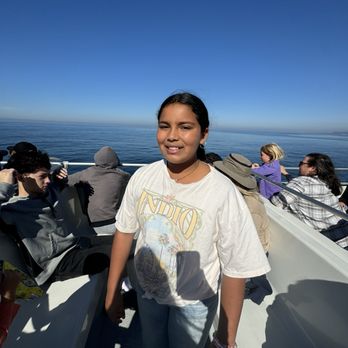 Legacy Whale Watch - Top of the boat - Whale Watching Tours Near Me - San Diego, California Legacy Whale Watch - Top of the boat - Whale Watching Tours Near Me - San Diego, California