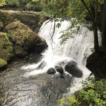 Whatcom Falls Park - Dog Parks Near Me - Bellingham, Washington