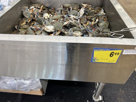 Fiesta Mart #64 by null