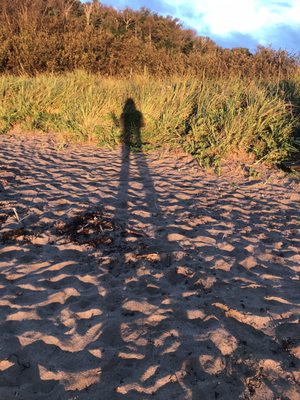 Irving Nature Park by null