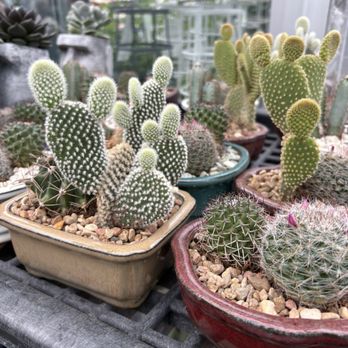 Gertens - Nurseries & Gardening Near Me - Inver Grove Heights, Minnesota