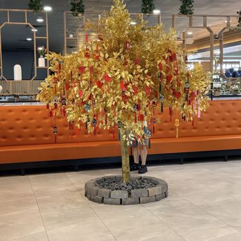 Osaka Sushi Grill & Buffet - Wishing tree - Sushi Bars Near Me - Clementon, New Jersey
