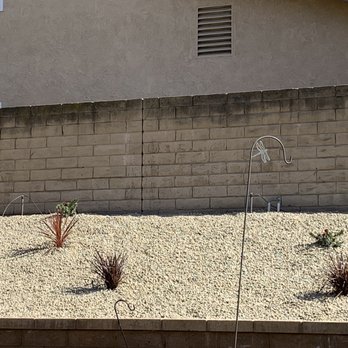 East Co Tree Care - Tree Services Near Me East Co Tree Care - Tree Services Near Me