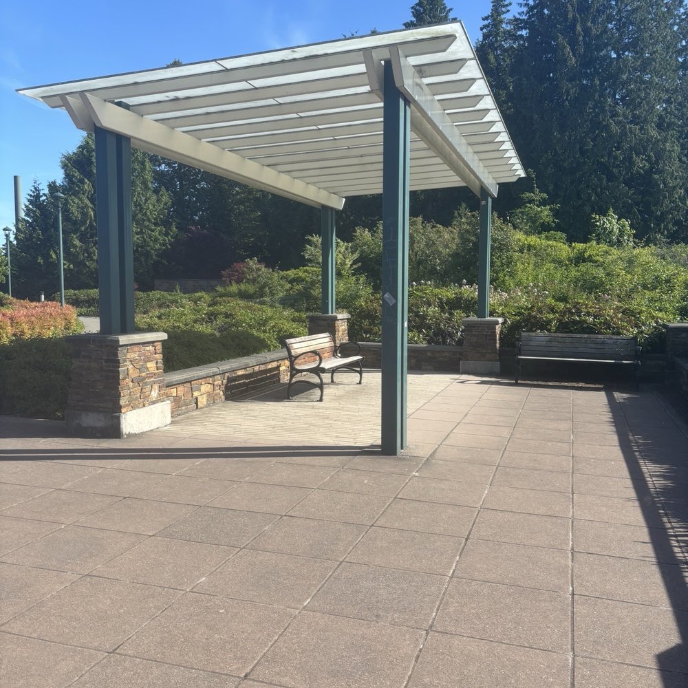 520 Bridge View Park - Park View - Parks Near Me - Medina, Washington