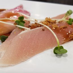 Albacore