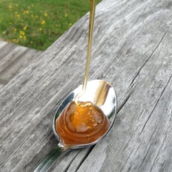 Sweet Betsy Farm - A spoon full of goodness! Our raw spring wildflower honey