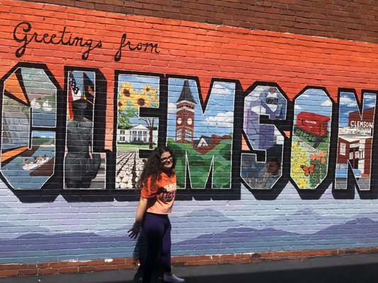 Clemson University by null