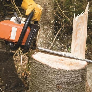 Indiana Tree Removal Service - Tree Services Near Me - Merrillville, Indiana Indiana Tree Removal Service - Tree Services Near Me - Merrillville, Indiana