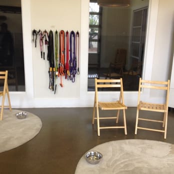 BreedAbove - Training area - Pet Sitting Near Me - Ann Arbor, Michigan BreedAbove - Training area - Pet Sitting Near Me - Ann Arbor, Michigan