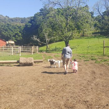 Stepladder Ranch & Creamery - Farm grounds - Ranches Near Me - Cambria, California