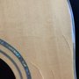 Vig Guitars
